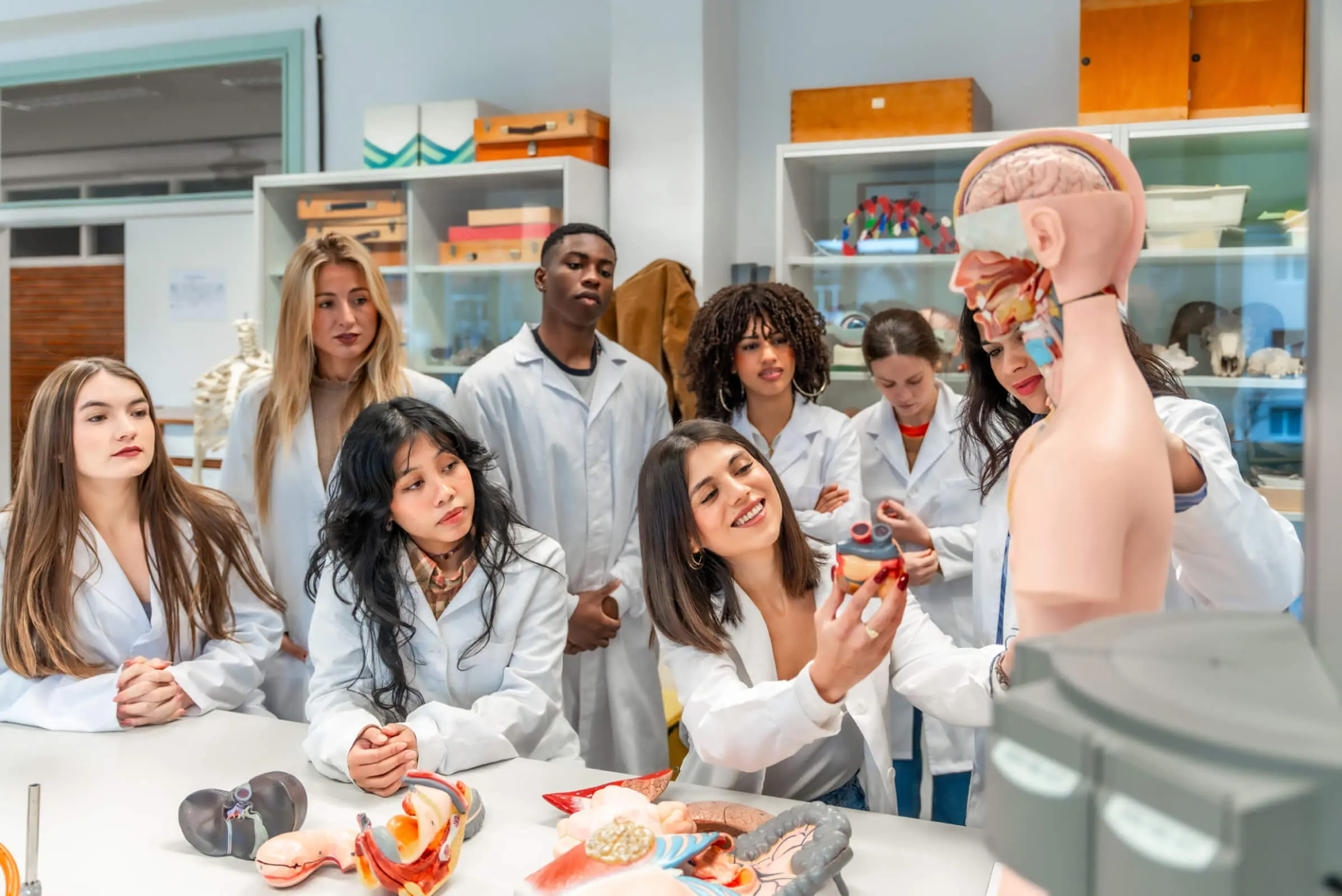 Students studying anatomy with a model.